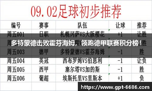 多特蒙德击败霍芬海姆，领跑德甲联赛积分榜！