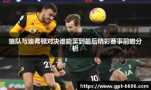 狼队与埃弗顿对决谁能笑到最后精彩赛事前瞻分析