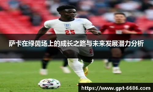6686体育网页版
